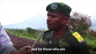 UN Forces partner with the Congolese army to push out rebels [upl. by Soalokin]