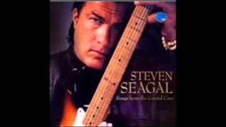 Steven Seagal feat Lady Saw Me Want The Punani [upl. by Atel]