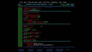 COBOL  Program Structure [upl. by Amlev295]