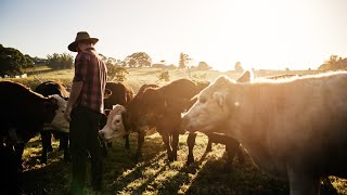 New Zealandbased dairy company Fonterra is selling its Australian operations [upl. by Nnawaj123]