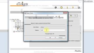 Разблокировка eToken [upl. by Onabru]
