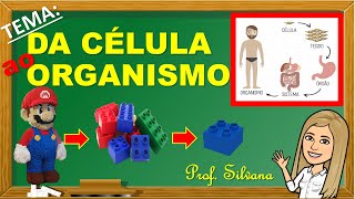 DA CÉLULA AO ORGANISMO  AULA REMOTA ENSINO FUNDAMENTAL  CIÊNCIAS [upl. by Gibbons215]