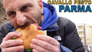 Cavallo pesto criminale PARMA [upl. by Rustice]