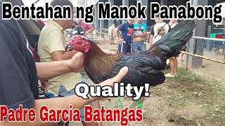 MGA QUALITY ANG MANOK Bentahan ng Manok Panabong sa Padre Garcia Batangas [upl. by Korenblat]