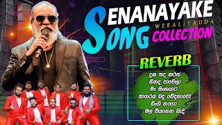 Senanayaka Weraliyadda Collection with Reverb  සේනානායක වෙරලියද්ද බණ්ඩාරගම රිවබ් සමග ගැයූ ගීත එකතුව [upl. by Chon]