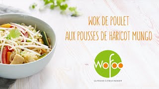 Recette Wok de poulet aux Pousses de Haricot Mungo [upl. by Klarika]