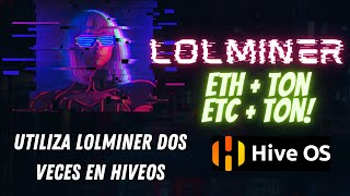 Utiliza 2 Veces lolminer en HiveOS y mina DIFERENTES Monedas en Dual Mining ✅ 4GB y 8GB GPUs [upl. by Haslam]