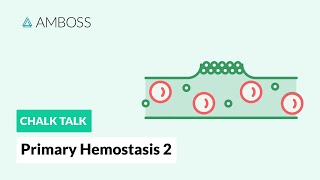 Primary Hemostasis  Part 2 Platelet Activation [upl. by Anival]