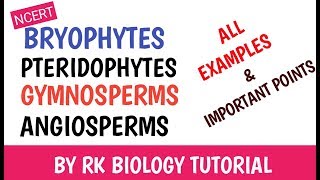 BRYOPHYTES PTERIDOPHYTES GYMNOSPERMS amp ANGIOSPERMS EXAMPLES [upl. by Atiz825]