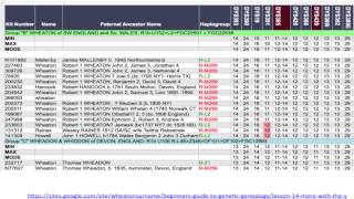 What are the 4 Types DNA  Genetic Genealogy Explained [upl. by Mouldon]