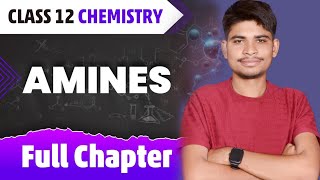 Amines in one shot  Organic Chemistry class 12 NCERT  JEE Mains  NEET  Board 2025 [upl. by Intyrb]