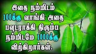 இதிலிருந்து கிடைக்கும் ஒரு மருந்து வேறு எந்த தாவரத்திலும் கிடையாது  salacia reticulata powder [upl. by Nevai]