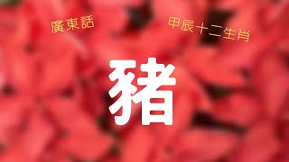 12肖豬  吉星：紫微、龍德、紅鸞。凶星：暴敗、天厄、亡神。 [upl. by Hilel397]