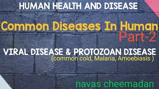 Common Human Disease Viral Disease and Protozoan Disease in malayalam class 12 [upl. by Odnama261]