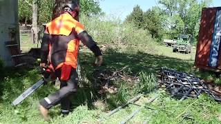 Husqvarna 550xp Mark II cutting trees in bad places and high wind [upl. by Fein208]