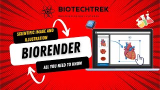 Master BioRender Ultimate Guide to Stunning Scientific Visualizations 🎨 [upl. by Raskin]