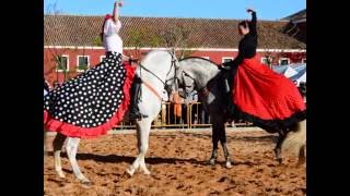 Feria de Abril en menorca Es Castell [upl. by Mintz]