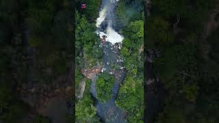 Amazon rainforest  Amazon Jungle Ka Rahasya Hindi  Amazon Rainforest Forest Video Hindi [upl. by Alrahs]