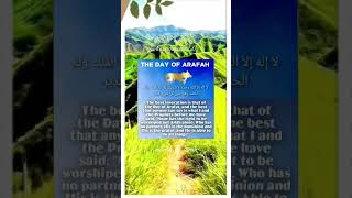 THE DAY OF ARAFAH motivation IslamicTeaching islamicreminders viral everyone [upl. by Natan]