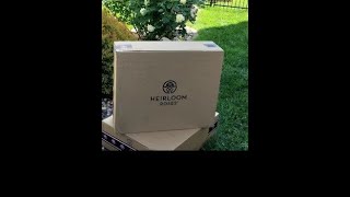 Heirloom Roses Have Arrived💐🌸Unboxing 2 New varieties for The Garden 🌿 [upl. by Tihw]