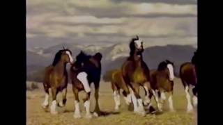 Top 10 Budweiser Super Bowl commercials 1 [upl. by Nojad489]