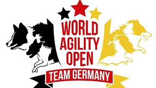 🥇 Tryouts for World Agility Open 2024 – 1st place overall 🥇 [upl. by Hegyera813]