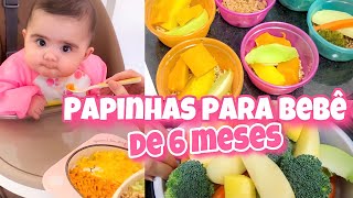 COMO FAZER PAPINHA PARA BEBÊ DE 6 MESES  COZINHEI PARA SEMANA TODA E CONGELEI Episódio 1 [upl. by Adaran]