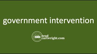 What is Government Intervention  Introduction  IB Microeconomics  IB Economics Exam Review [upl. by Mil261]