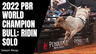 2022 PBR World Champion Bull Ridin Solo Top Highlights [upl. by Assil]