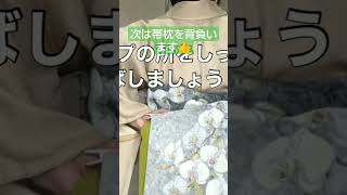 初心者様 ③次は帯枕を背負います、予めクリップを留めてるので、二重太鼓が失敗なく出来ますね👍️お試し下さいませ❣️ [upl. by Arnold]