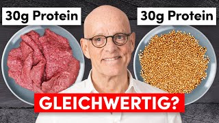 Pflanzliches Protein vs tierisches Protein Das sollten Sie wissen [upl. by Llenrad]