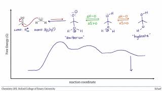 Carbonyl Additions 4 Hydrates amp Hemiacetals [upl. by Ayotas]