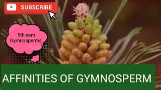 AFFINITIES OF GYMNOSPERM PTERIDOPHYTES ANGIOSPERMS GYMNOSPERM BOTANY botanylectures botany [upl. by Annais]