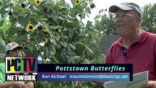 Pottstown Butterflies with Ron Richael August 17th 2023 [upl. by Alimaj]