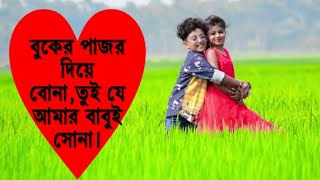 বাংলা নতুন গান।বুকের পাজর দিয়ে বোনাতুইযে আমার বাবুই সোনা।ভিডিও গান। [upl. by Anehs]