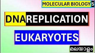 DNA Replication Biochemistry Malayalam Eukaryotic DNA Replication Malayalam Molecular Biology [upl. by Idnib]