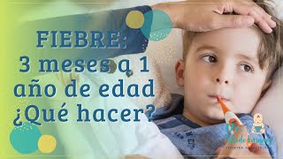 FIEBRE EN NIÑOS o BEBES MAYORES DE 3 MESES hasta 1 año de edad ¿QUE HACER [upl. by Harbot]