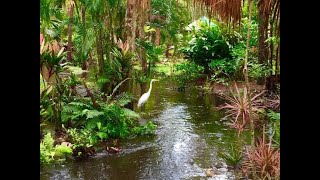 Florida Tech Botanical Gardens [upl. by Ardnuhsal]