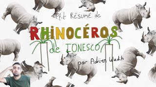 Ptit résumé de Rhinocéros  le résumé pour les pressés [upl. by Baggett]