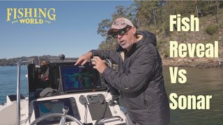 Lowrance DownScan FishReveal Vs Sonar [upl. by Nelaf]