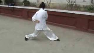 a kung fu masters amazing exercise [upl. by Meeka]