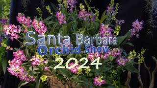 Santa Barbara Orchid Show 2024 [upl. by Hgieloj]