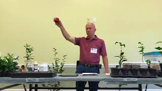 Growing Camellias from Cuttings and Seed by Gene Phillips [upl. by Notnert981]