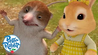 OfficialPeterRabbit  The Shrew Saves Cottontail But how 🤔 💛  Cartoons for Kids [upl. by Rosner]