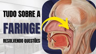 Resumo sobre a FARINGE  Resolvendo questões de Anatomia Humana [upl. by Thedric319]