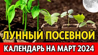 Когда сеять на рассаду в МАРТЕ 2024 Точный лунный посевной календарь на март 2024 по дням [upl. by Arhoz]