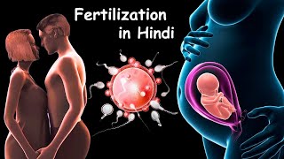 Fertilization  Pregnancy  Baby Delivery [upl. by Rednasyl]