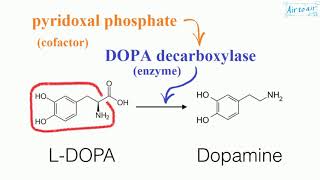 pyridoxal phosphate English  Medical terminology for medical students [upl. by Enicul181]