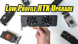 This New Low Profile GPU Might Just Be What Your SFF PC Needed [upl. by Tris114]