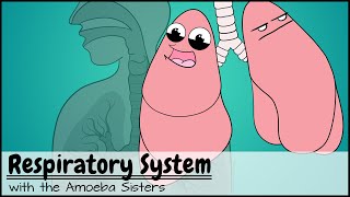 Respiratory System [upl. by Eon]